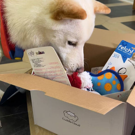 Cuddle Doggy Curated Box