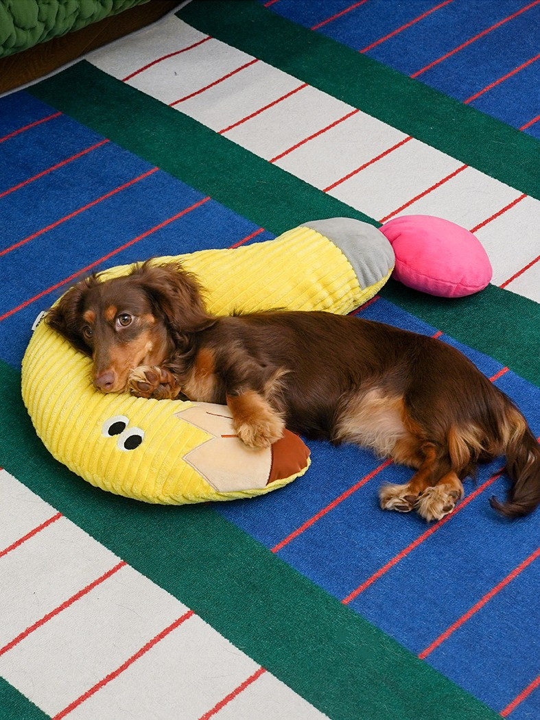 Zeze Question Mark Pet Pillow & Rocket & Pencil Plush Bolster for Dogs & Cats