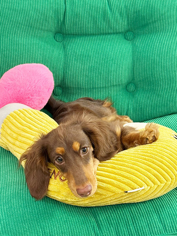 Zeze Question Mark Pet Pillow & Rocket & Pencil Plush Bolster for Dogs & Cats