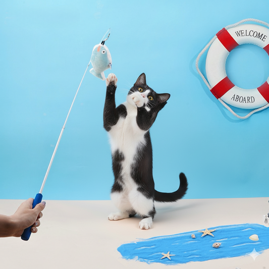 Interactive Cat Fishing Toy Set – Soft Plush Catnip Fish Teaser Wand with Replaceable Fish Heads | Zeze Cat Toy Series