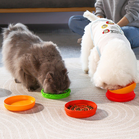 5-in-1 Hamburger-Shaped Dog Bowls Set